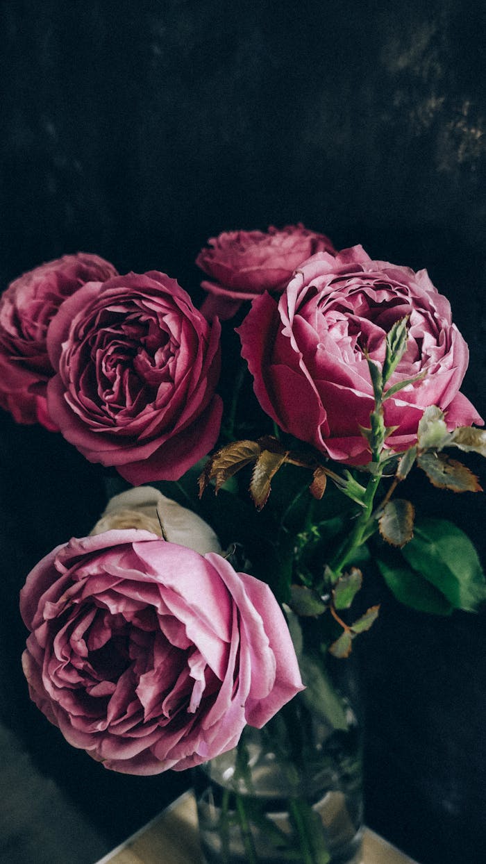 Vase with fresh delicate roses placed on table